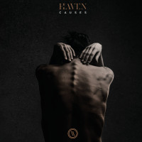 LPHaven / Causes / Vinyl