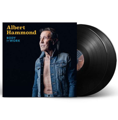 2LP / Hammond Albert / Body Of Work / Vinyl / 2LP