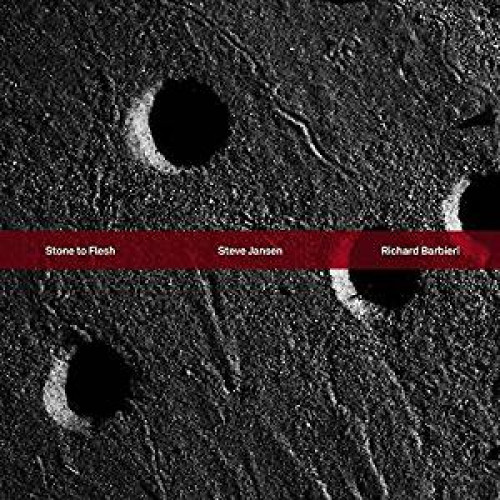 CD / Jansen Steve, Barbieri R. / Stone To Flesh / Digipack