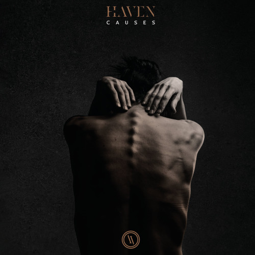 LP / Haven / Causes / Vinyl