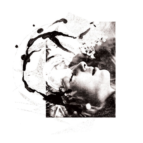 LP / Tenhi / Airut:Aamujen / Clear / Vinyl