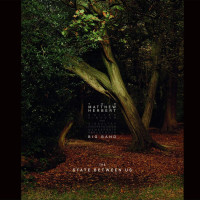 3LPMatthew Herbert Big Band / State Between Us / Vinyl / 3LP