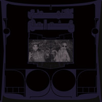 CDShabazz Palaces / Exotic Birds Of Prey