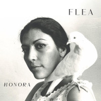 CDFlea / Honora