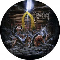 LPImmolation / Here In After / Picture / Vinyl