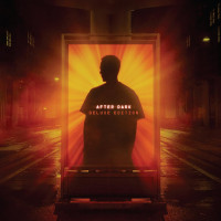 2LPFriction / Afterdark / Vinyl / 2LP