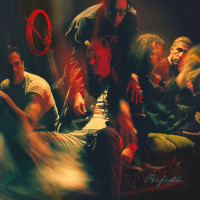LPQueens Of The Stone Age / Perfecth / Vinyl