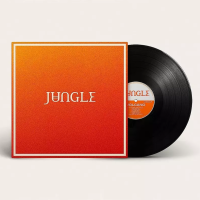LPJungle / Volcano / Vinyl