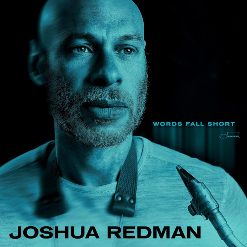 LP / Redman Joshua / Words Fall Short / Vinyl