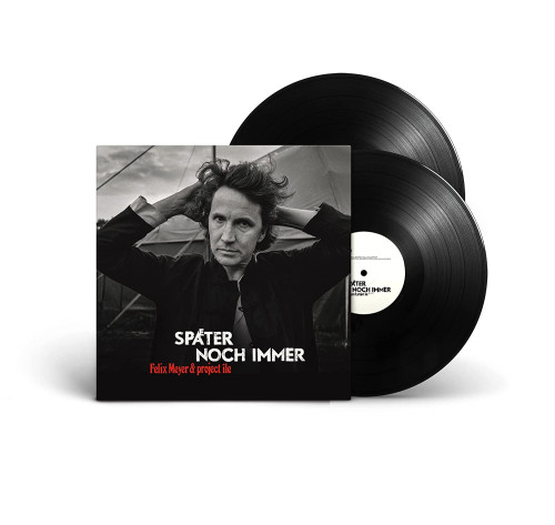 2LP / Meyer Felix / Sp�ter Noch Immer / Vinyl / 2LP