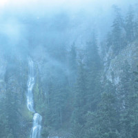 2LPWolves In The Throne Room / Diadem Of 12 Stars / Vinyl / 2LP