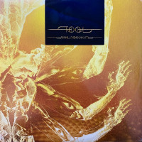 3LPTool / Fear Inoculum / Vinyl / 3LP