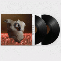 2LPSoap & Skin / Torso / Vinyl / 2LP
