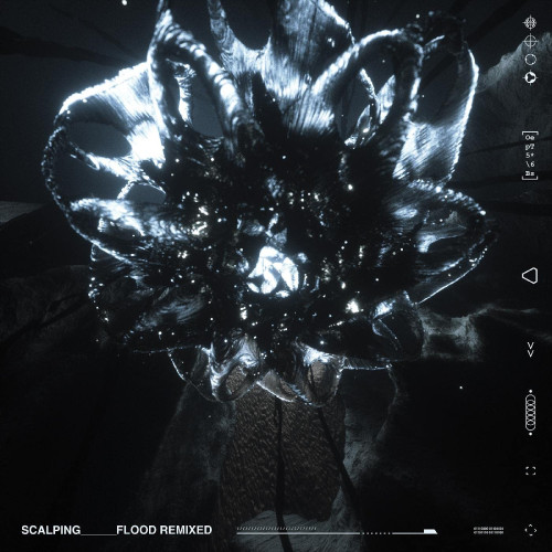 LP / Scalping / Flood Remixed / Vinyl