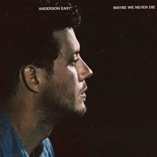 LP / East Anderson / Maybe We Never Die / Vinyl