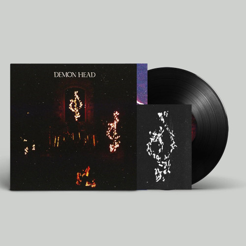 LP / Demon Head / Through Holes Shine The Stars / Vinyl