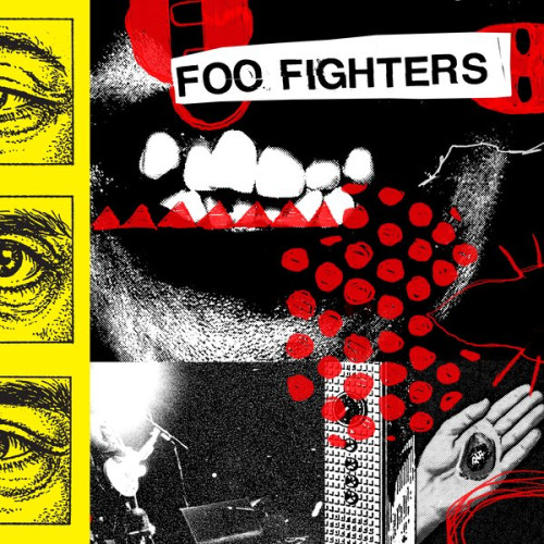 LP / Foo Fighters / Your Favorite Toy / Vinyl