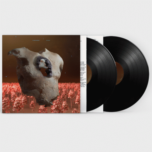 2LP / Soap & Skin / Torso / Vinyl / 2LP
