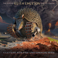 2CD/2DVDVarious / Fanfare For The Uncommon Man / 2CD+2DVD