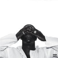 2LPAsap Ferg / Always Strive And Prosper / Vinyl / 2LP