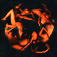 CDEverything Everything / Fever Dream