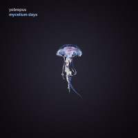 LPYobrepus / Mycelium Days / Vinyl