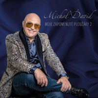 CDDavid Michal / Moje zapomenut� plou��ky 2