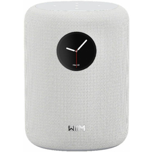 HIFI / HIFI / Repro bezdr�tov� WiiM Sound / White / 1ks