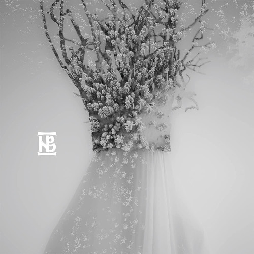CD / Negura Bunget / Zau / Digipack