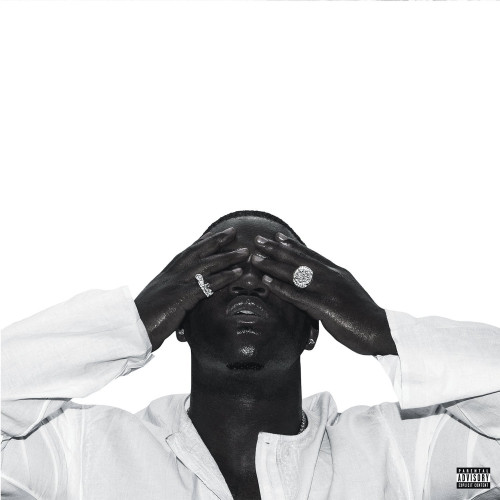 2LP / Asap Ferg / Always Strive And Prosper / Vinyl / 2LP