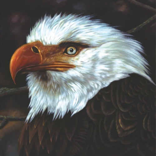 2LP / MOGWAI / Hawk Is Howling / White / Vinyl / 2LP