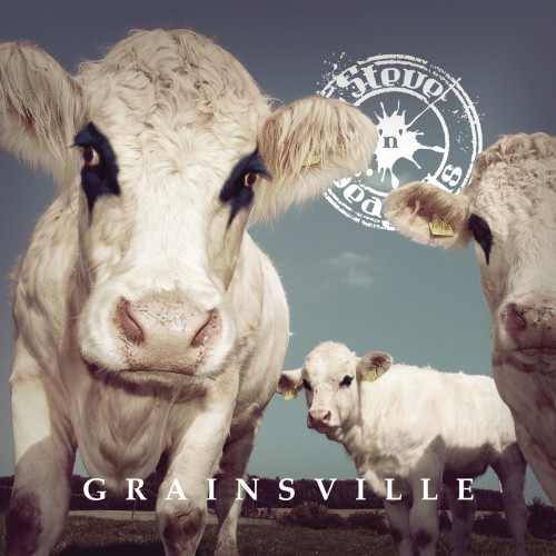 LP / Steve'n'seagulls / Grainsville / Vinyl