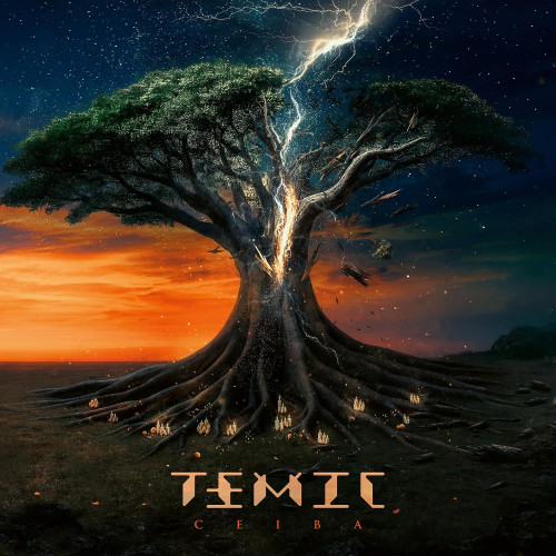 2LP / Temic / Ceiba / Vinyl / 2LP