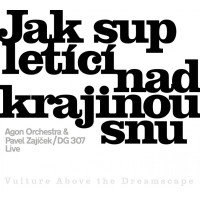 CDAgon Orchestra/Zaj��ek / Jak sup let�c� nad krajinou snu