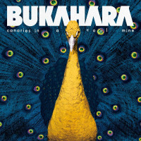 LPBukahara / Canaries In a Coal Mine / Vinyl