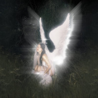 CDBarrett Nessa / Young Forever