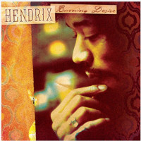 2LPHendrix Jimi / Burning Desire / Coloured / Vinyl / 2LP