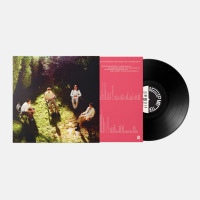 LPPink Butter / Can We Go Back / Vinyl