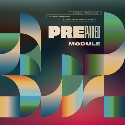 LP / Prepared / Module / Vinyl
