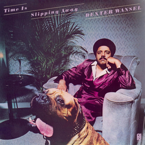 LP / Dexter Wansel / Time Is Slipping Away / Blue / Vinyl
