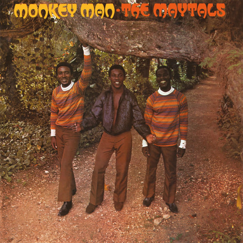 LP / Maytals / Monkey Man / Yellow / Vinyl