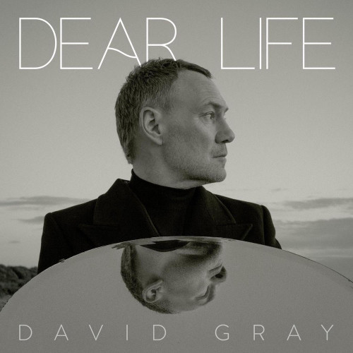 2LP / Gray David / Dear Life / Green / Vinyl / 2LP