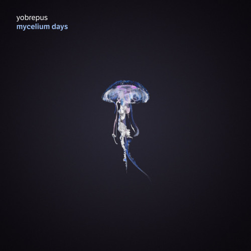 CD / Yobrepus / Mycelium Days