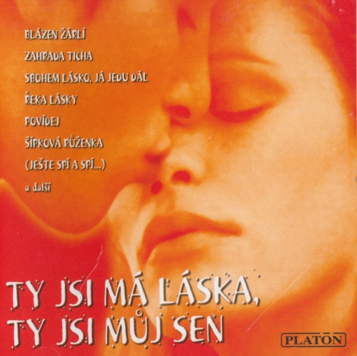 CD / Various / Ty jsi m� l�ska,Ty jsi m�j sen / Nep�vodn� nahr�vky