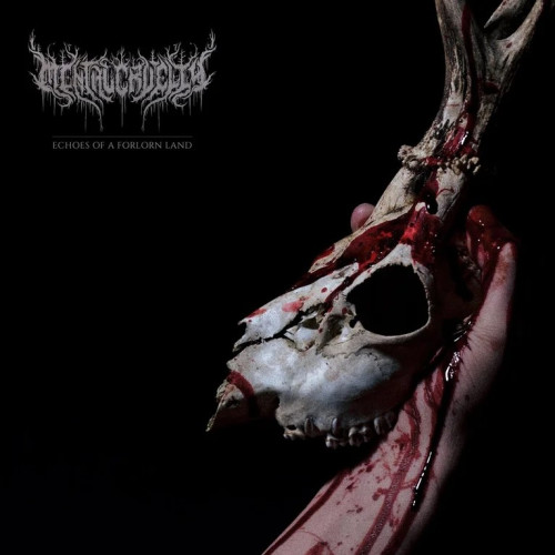 CD / Mental Cruelty / Echoes of a Forlorn Land / Red / Vinyl