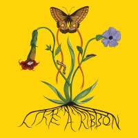 CDGlacier John / Like a Ribbon