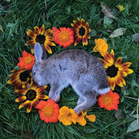 LPMonolord / Your Time To Shine / Coloured / Vinyl