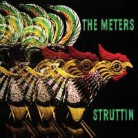 CDMeters / Struttin'