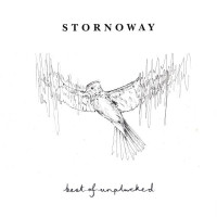 LPStornoway / Best Of Unplucked / Vinyl