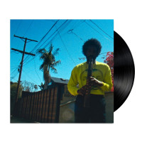 LPAndre 3000 / Mooving Day / Vinyl